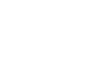fiat-professional